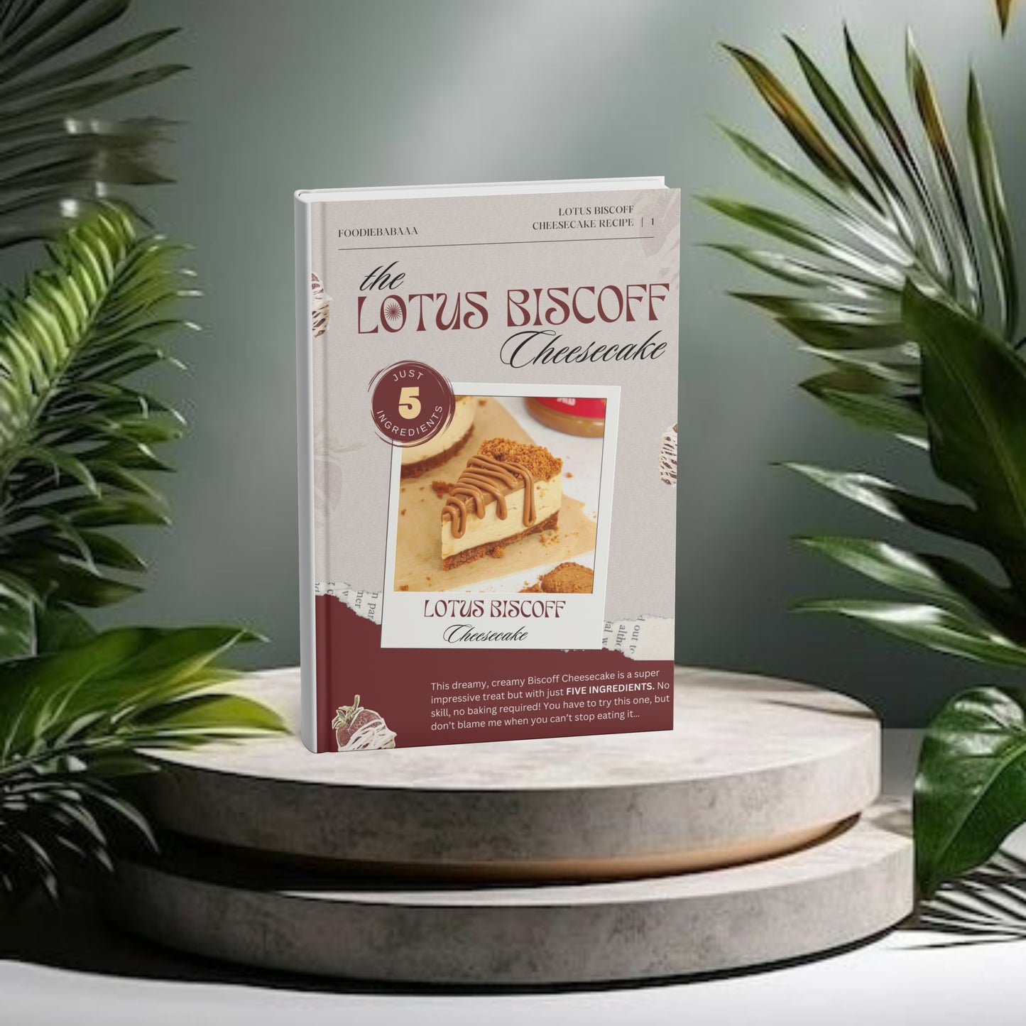 Lotus Biscoff Cheesecake Recipe - using just 5 Ingredients (E Book)